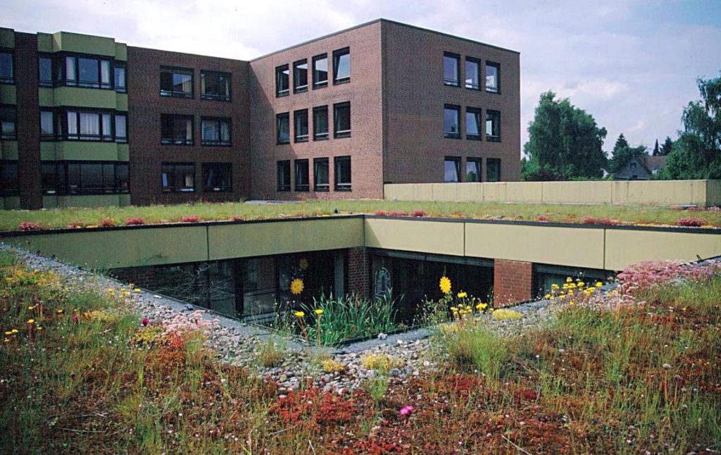озеленение крыш зданий