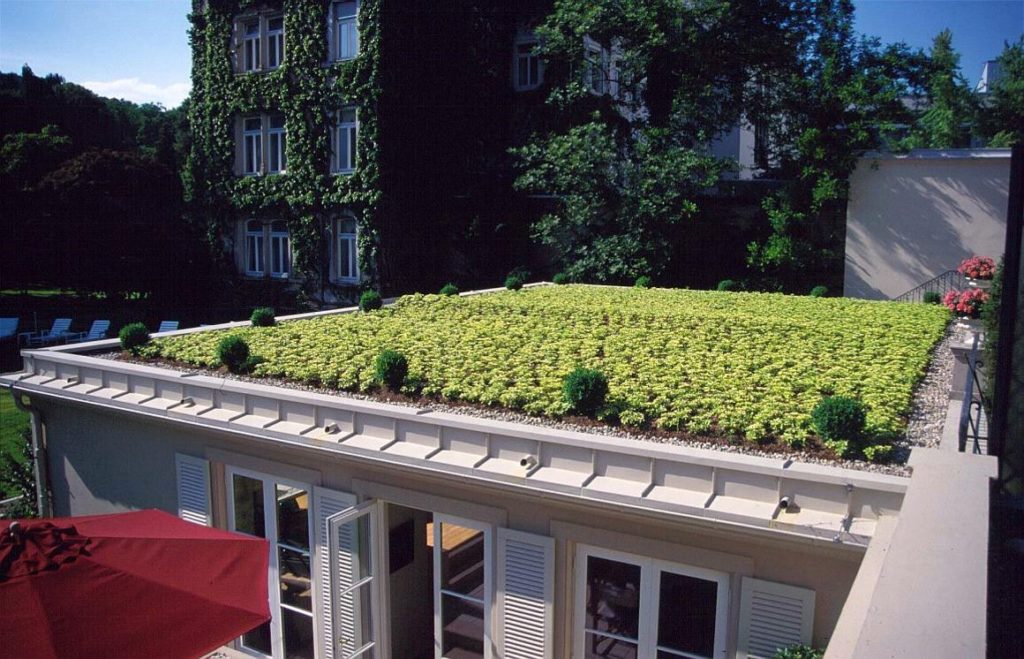 озеленение балконов