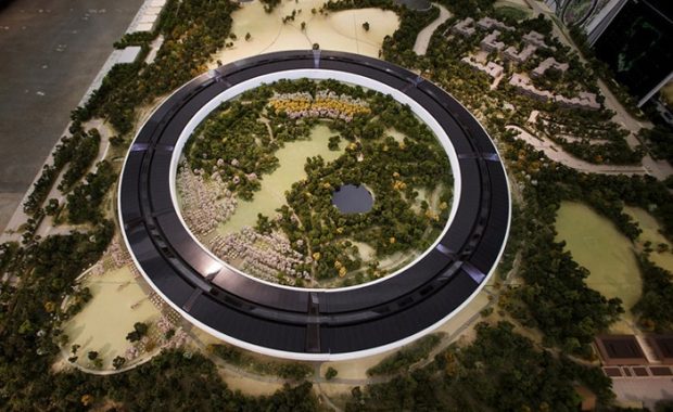 Мечта Стива Джобса: интенсивное озеленение новой штаб-квартиры Apple