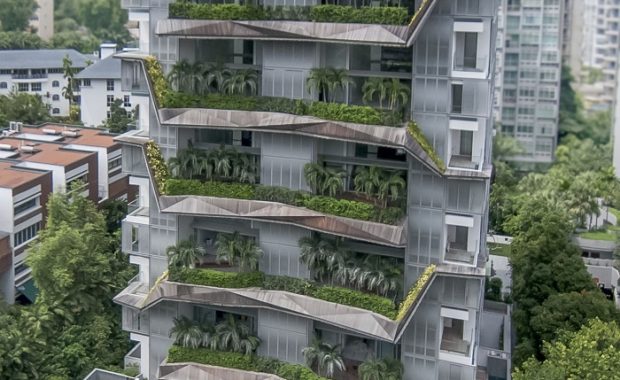 Немецкие системы озеленения крыш для дома-«каньона» в Нидерландах