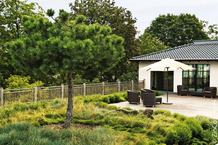 Озеленение крыш террас оздоровительного центра