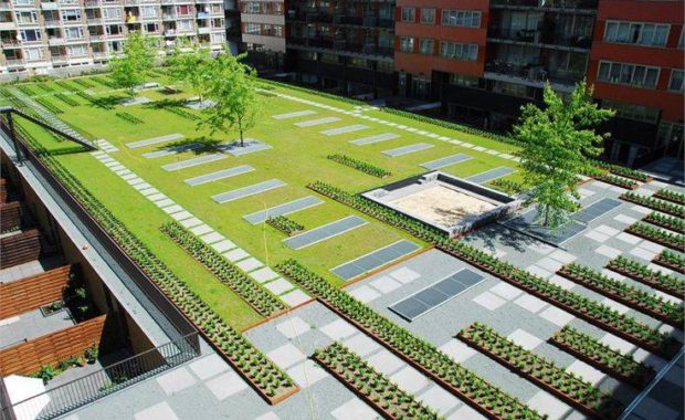 Сады на кровле жилого комплекса в Амстердаме