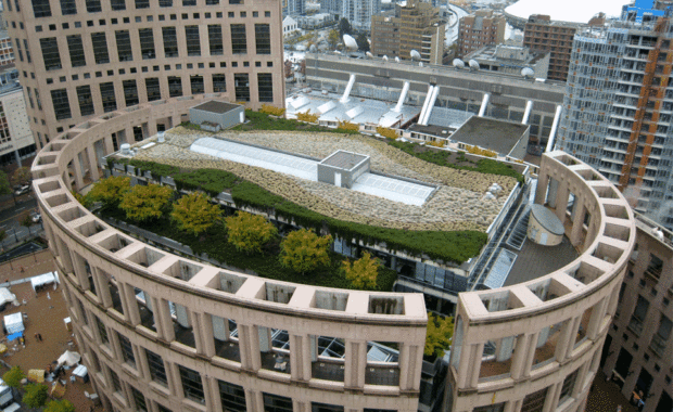 Всемирно известный проект: озеленение крыши библиотеки Ванкувера