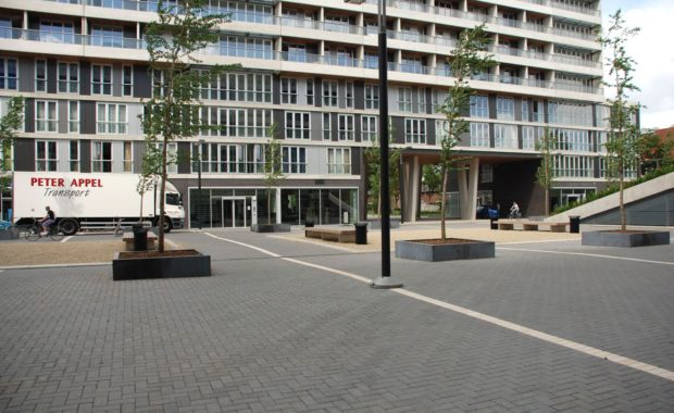Лучшие технологии озеленения крыш для зданий в Нидерландах