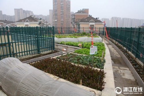 Эко-ферма на крыше школы в Китае