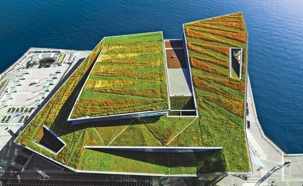 ТОП-5 самых впечатляющих в мире зеленых крыш