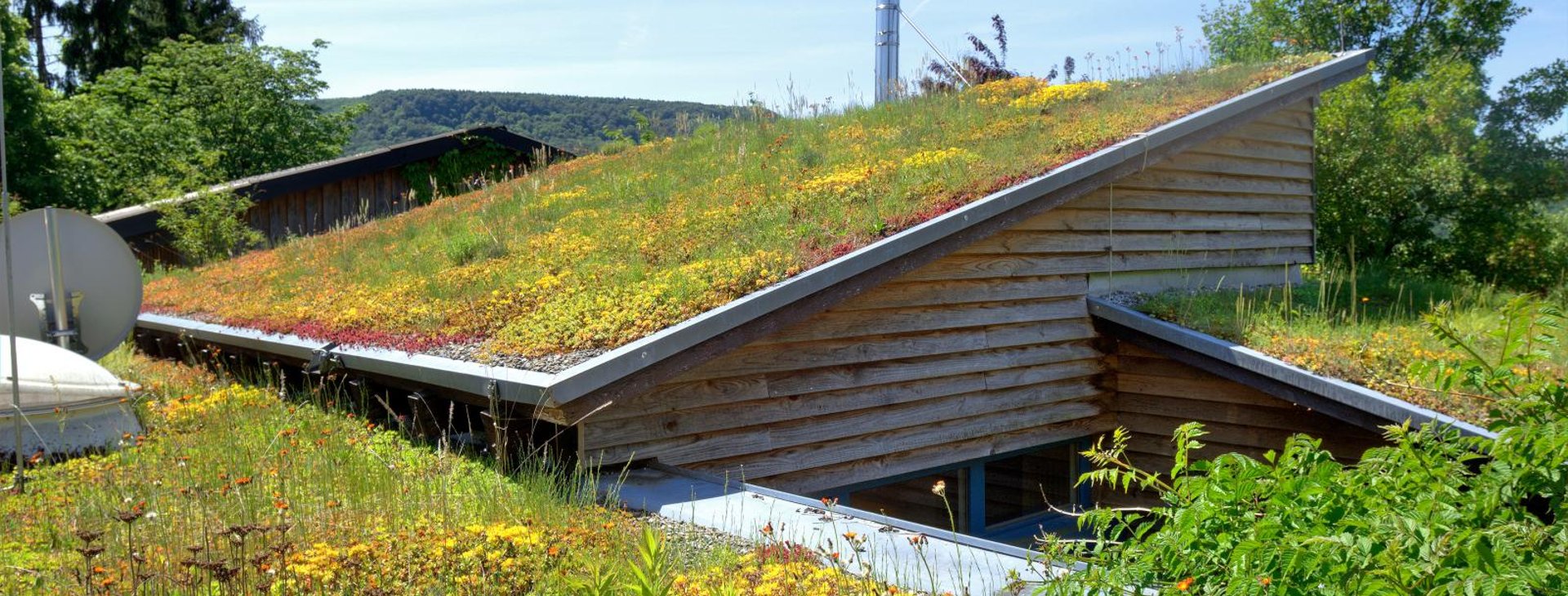 Zinco Green Roof. Экстенсивная зеленая кровля. Крыша из травы. Наклонная зеленая кровля.