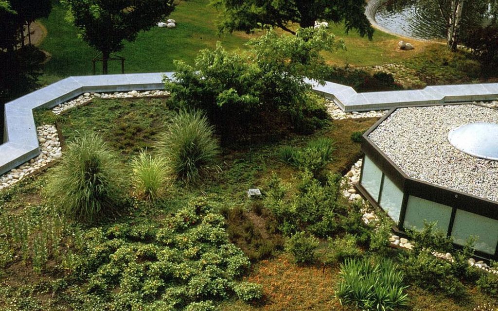 пример озеленения крыши по технологии Zinco