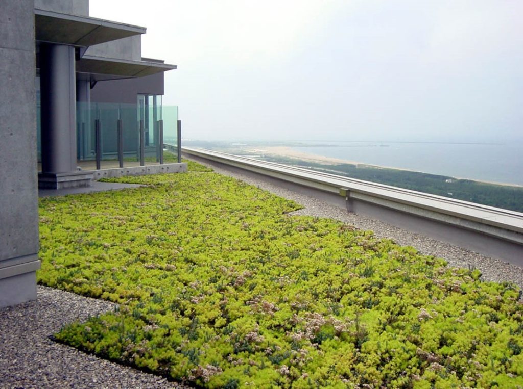 озеленение крыши по современной технологии Zinco
