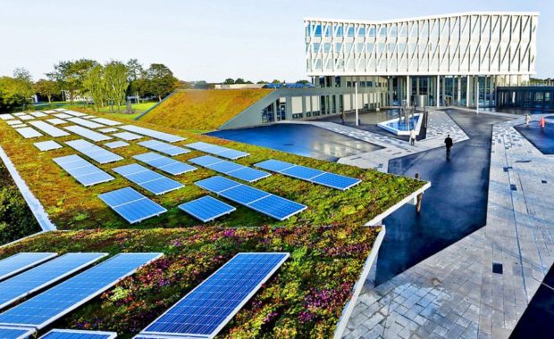 Почему зеленые крыши – лучшее место для солнечных батарей?