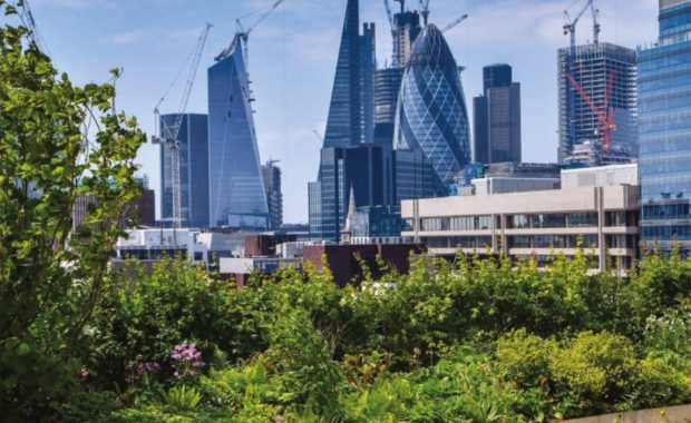В Лондоне подведены итоги 10 - летней работы по озеленению города