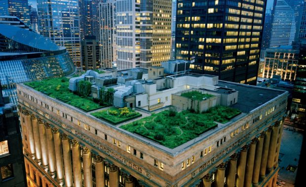 «Зеленые» крыши – оплот городского биоразнообразия