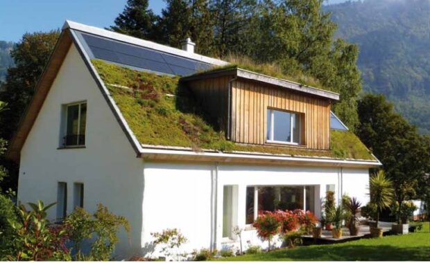 Какие меры нужно предпринять при озеленении скатных крыш?